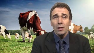 Global Agribusiness Annual 2016
