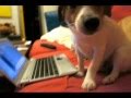 CHATT CON BANANA 33 CHECCO ZALONE PELE' E YUMA