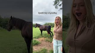 Dramatic Horse Fart