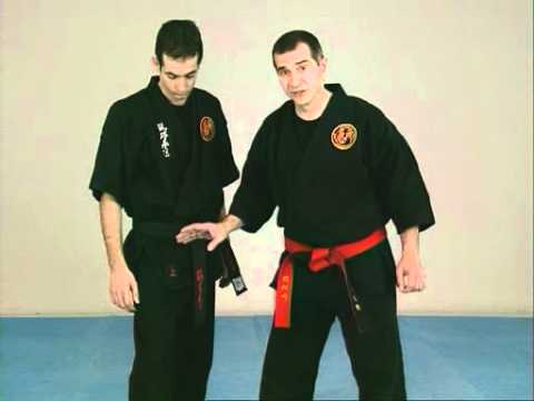 comment apprendre les arts martiaux chez soi