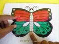 PULL AND FLAP - HINDI - 24MB.avi