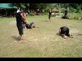 5 Vs 1 Tomoi images 5 Vs 1 Tomoi