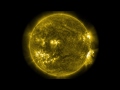 Before the Flare: AR1520 and Shimmering Coronal Loops