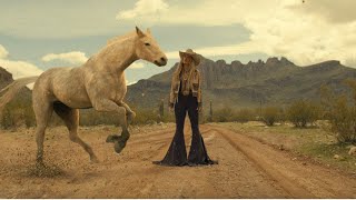 Watch Lainey Wilson Wildflowers And Wild Horses video
