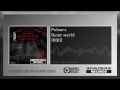 Pulserz - Quiet world [Preview]
