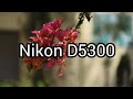 Nikon D5300  "sample images"
