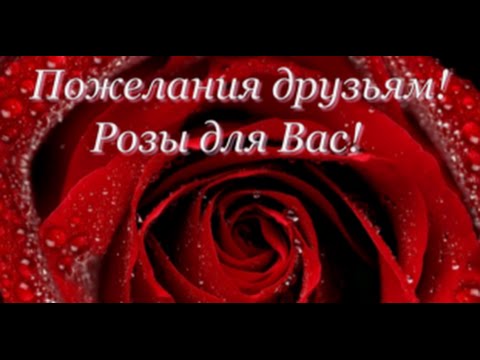 Стихи для детей от 0 до 3 лет. - развитие ребенка до 1 года - Каталог С Днем пожилого человека - Открытки к Осенним