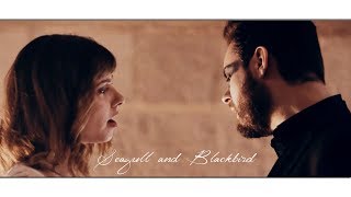Julien LOko (Feat. Emie Thomas) "Seagull & Blackbird" - Official Clip
