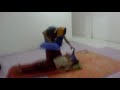 Dukun Cabul Bin Rempong images Dukun Cabul Bin Rempong