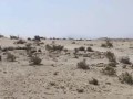 Mikey Rock pile