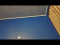 wired ass song