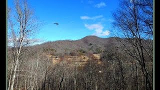 710 Meadow Mountain Rd. Franklin, NC 28734 | Homes for Sale in the Mountains