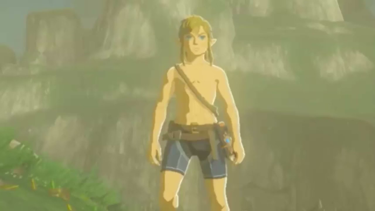 Botw link