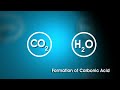 ocean acidification