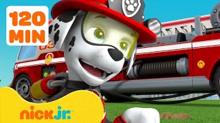 Paw Patrol De Meest Gewaagde Reddingsacties Van Marshall Uit Paw Patrol Nick Jr. Nederlands
