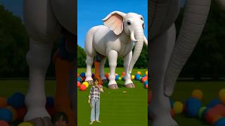 White Elephant Field Is Popular, Co-Produced,Creative Newf