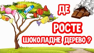 Де Росте Шоколадне Дерево?  Для Дітей