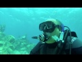 Constellation and the Lartington Dive June 5, 2014 Bermuda with Blue Water Divers