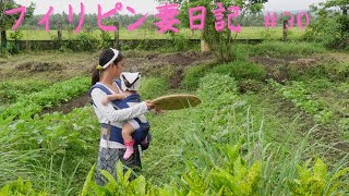 【フィリピン自給自足生活】フィリピン妻と50日かけてモヤ玉丼を作りました