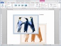 MİCROSOFT WORD 2010 GÖRSEL VİDEO EĞİTİMİ-Word Resim ve Şekil Ekleme-Düzenleme