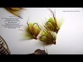 Tying the Gorgeous George (Irish Wet Fly) with Davie McPhail Tying the Gorgeous George (Irish Wet Fly) with Davie McPhail