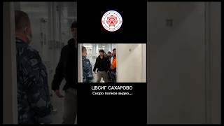 ЦВСИГ САХАРОВО СКОРО ПОЛНОЕ ВИДЕО…