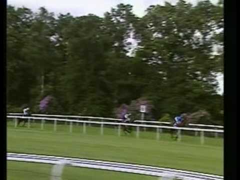 Ranker Video