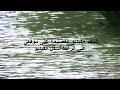 سكس فى غرفة النوم احلى نيك طيز سكس جامد