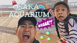 OSAKA AQUARIUM with KAYCEE & RACHEL and the GUMMY BOYS!!