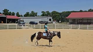 Show 2025 Norakate Owen And Dixie Novice Youth Equitation Pattern