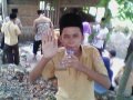 image Heboh Anak Mts Di Makam Keramat