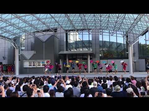 ダンスパワーSAKAI TDCジュリアナ フルVer. (09月02日 00:00 / 17 users)