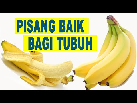 Manfaat buah pisang bagi tubuh manusia