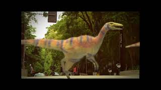 Dkbrasil Promo Dino Dan Pronto