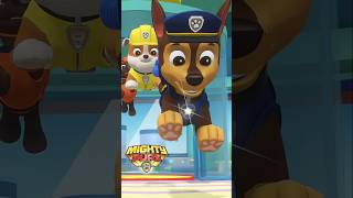 Super Patrulha Canina - A Torre Da Patrulha Canina