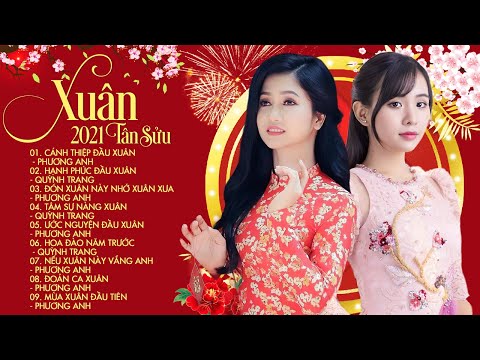 Cánh Thiệp Đầu Xuân, Hạnh Phúc Đầu Xuân - Lk Nhạc Xuân Bolero 2021 Lan Toả Không Khí Tết Sắp Tới
