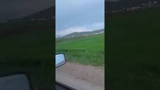 Gedebey Duzurd