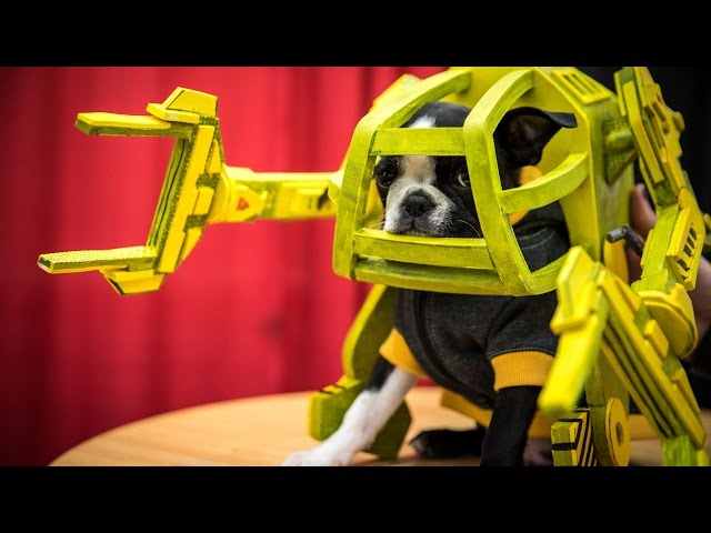 A Puppy In An Aliens Power Loader Suit - Video