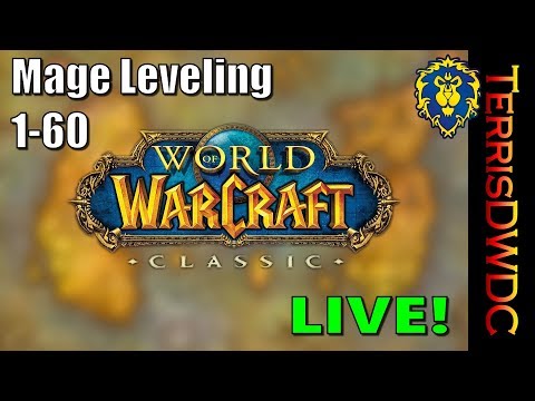 World of Warcraft Classic - Mage Leveling 21+