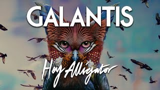 Watch Galantis Hey Alligator video