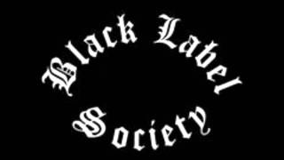 Watch Black Label Society 13 Years Of Grief video