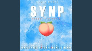 Synp