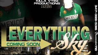 Watch Vybz Kartel Anything A Anything video