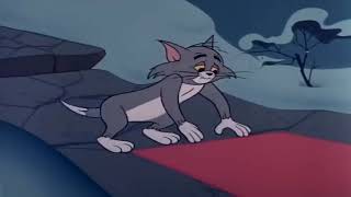 Tom & Jerry New Episode 2018 Say Cheese Snowbody Loves Me توم و جيري حلقات High