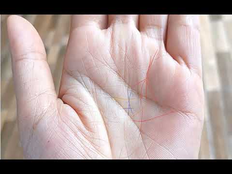 ลายมือ ดวงกำลังเปิดกำลังจะรวย