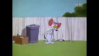 Stuck In A Female Mouse Costume