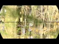 airsoft sniping