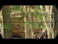 airsoft sniping