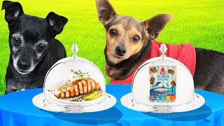 REAL FOOD VS. DOG FOOD CHALLENGE! (Pawzam Dogs)