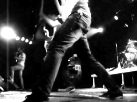 Fine Feathers Make Fine Birds Video